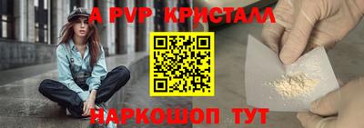 эйфоретик Донской