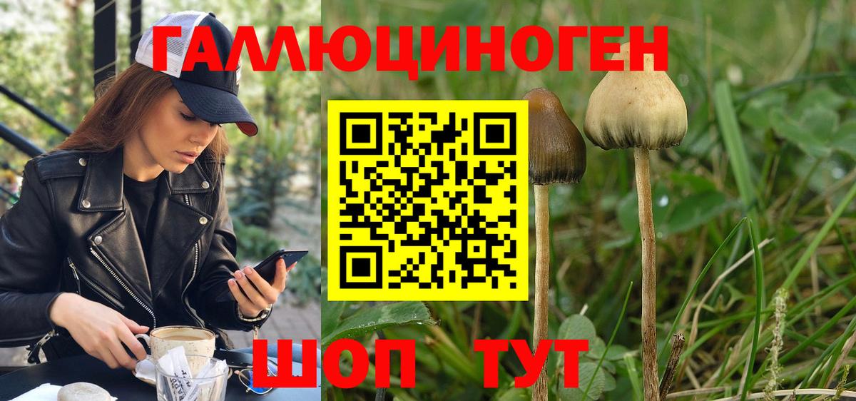 магазин продажи наркотиков  Псилоцибиновые грибы MAGIC MUSHROOMS  Вход с VPN  Можайск 