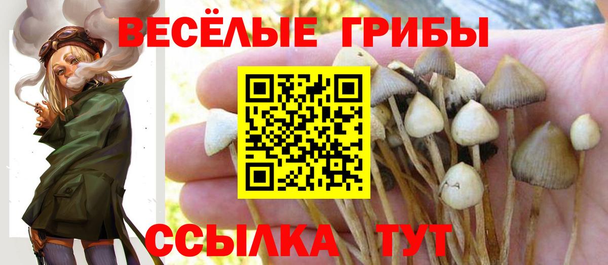 Галлюциногенные грибы Cubensis Можайск